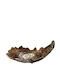Karvounis Obstschale Metallisch Braun 39x19cm
