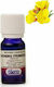 Argital Evening Primrose Ätherisches Öl 10ml