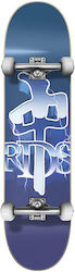 Red Dragon Hit Twice 8" Complet Placă scurtă Albastru Red Dragon Hit Twice 8" Complet Placă scurtă Albastru