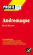 Andromaque, Profil d'une Oeuvre