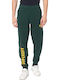 City College Sweatpants with Elastic Green