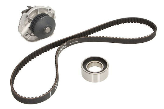 INA Set of Car Engine Belt for Fiat Panda / Punto 530020630