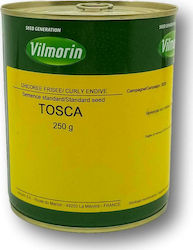 Vilmorin Tosca Σπόροι Αντίδι 250gr