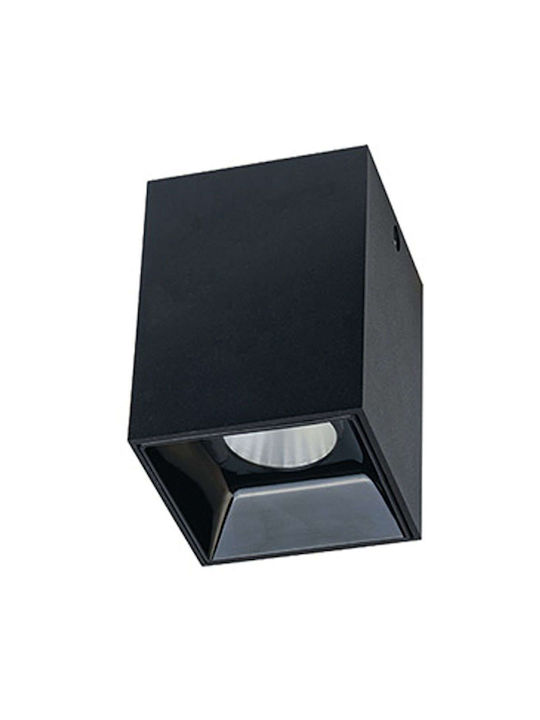 Zambelis Lights Einzel LED Spot in Schwarz Farbe