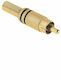 Βύσμα RCA male Χρυσό DM-0068-L