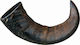Trixie Buffalo Horn Teether Horn Dog Medium Bre...