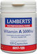 Lamberts Vitamin A Vitamin in Sunflower Seed Oil for the Hair, the Skin & Antioxidant Action 5000iu 120 caps