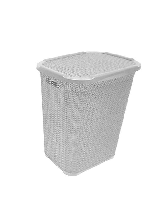 Sidirela Wäschekorb aus Kunststoff mit Deckel 44x35x56cm Gray