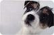 Trixie Plastic Placemat for Dog & Cat