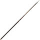 Vega Agilis Match Fishing Rod for Match Fishing 4.20m 5-30gr