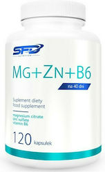 SFD Nutrition Mg+Zn+B6 120 capace