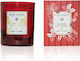 Blue Scents Αρωματικό Κερί Σόγιας σε Βάζο με Άρωμα Spicy Woods 145gr