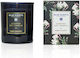 Blue Scents Scented Soy Candle Jar with Scent Night Jasmine Black 145gr 1pcs