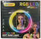 Andowl RGB Ringlicht 20,32cm mit Schreibtischstativ und Handyhalter