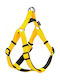 Glee Dog Harness Neoprene Yellow Medium 20mm x 56-66cm 88849