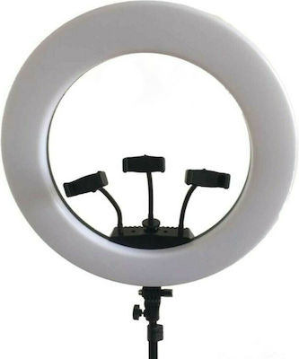 Luminus LUM Ringlite LED 65W Ring Light 51cm 3200 - 5600K with Mobile Holder