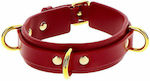 Taboom D-Ring Collar Deluxe Zgardă Red Red