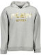 Sweatshirt with Hood Gray