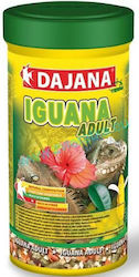 Dajana Iguana Adult 02511000 240gr