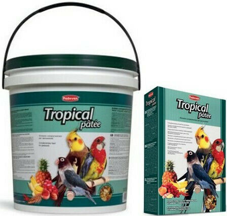 Padovan Tropical Patee Dietary Supplement for Parrots 700gr