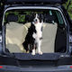Trixie Trunk Cover Car for Dog Blue/Black 1.80x1.30m Blue