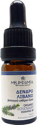 ΜελιΜπαμπά Organic Essential Oil Rosemary with Dropper 10ml