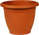 Viomes Terracotta 237 Flower Pot with wheels 21x17cm Terracotta 006.000237