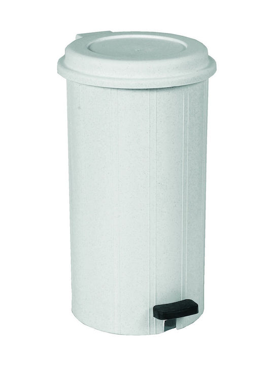 Viomes Abfalleimer Abfall Kunststoff mit Pedal Weiß 28Es