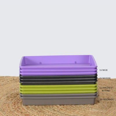 Viomes Linea 592 Square Plate Pot Purple 25x25cm