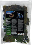 Trixie Vivarium Moss Substrate for Reptiles Terrarium 200gr