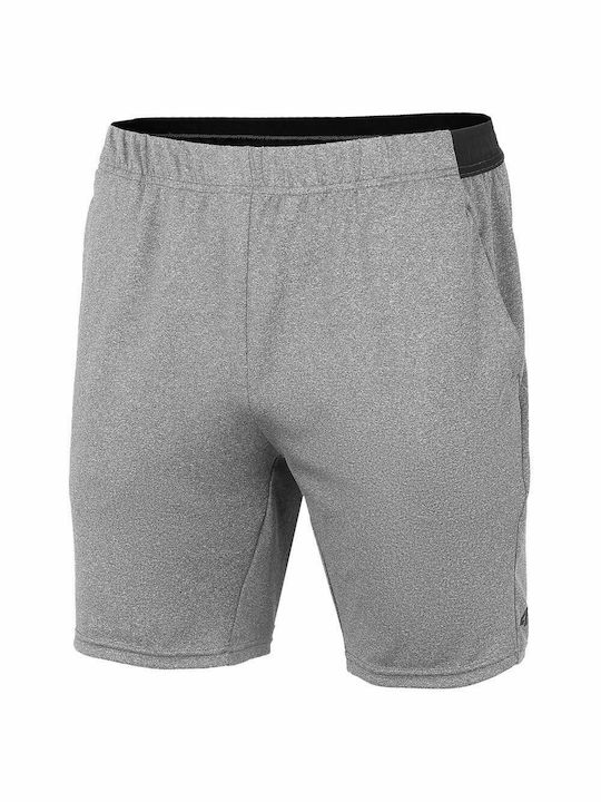 4F Sportliche Herrenshorts Gray