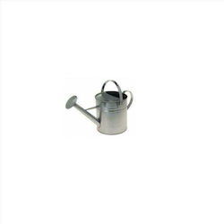 Viosarp Metallic Watering Can 3lt