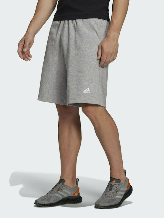 Adidas Studio Lounge Sportliche Herrenshorts Gray