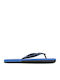 Men's Flip Flops Blue