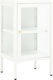 Floor-standing Living Room Display Cabinet made of Metal with Glass White 38x35x70cm