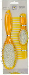 Set Hair Brushes 3 Pieces Set Hair Brushes 3 Pieces