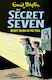 Secret Seven, Secret Seven On The Trail