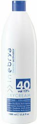 Inebrya Bionic Οξειδωτικό Γαλάκτωμα Χωρίς Αμμωνία 1000ml Inebrya Bionic Οξειδωτικό Γαλάκτωμα Χωρίς Αμμωνία 1000ml