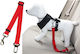 Value Imports Seatbelt Car for Dog Red 35-60cm. Red