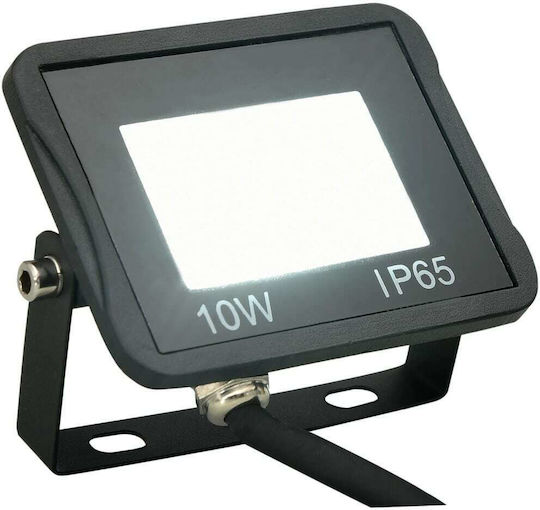 vidaXL Waterproof LED Floodlight 10W Cold White 6000K IP65