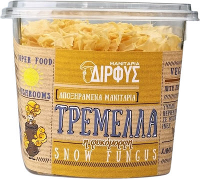 Μανιτάρια Δίρφυς Mushrooms Τρεμίσκη η Μεσεντερική 30gr