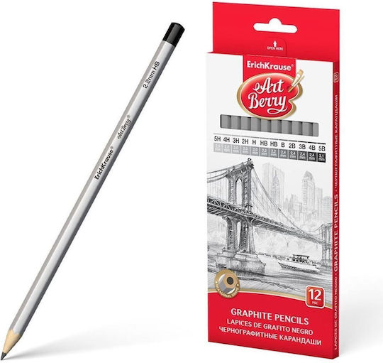 ErichKrause Artberry Set de 12 Creioane Argintiu