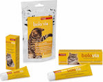 Candioli Bolo Via Katzenernährungsergänzung Paste für Katzen 50gr PC2285