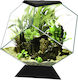 Ciano Nexus Pure Diamond Teren pentru reptile B...