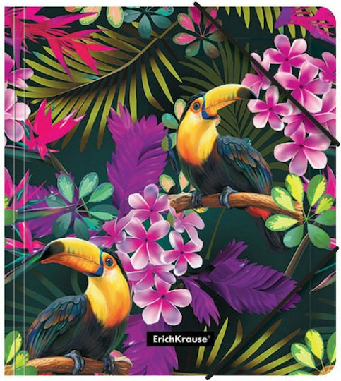 ErichKrause Ordner mit Gummiband für Papier A5 Mehrfarbigς Tropics