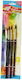Groovy Set Pensule de Pictură 4buc 0.76.146
