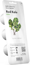 Click and Grow Red Kale Kale