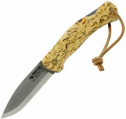 Casstrom Lars Falt Lock