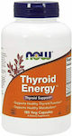Now Foods Thyroid Energy Spezielles Nahrungsergänzungsmittel 180 veg. Kappen