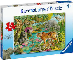 Kids Puzzle Animals of India for 4++ Years 60pcs Ravensburger